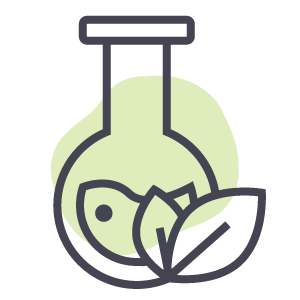 Teenilicious Product Features - Paraben Free